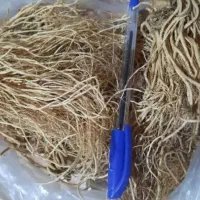 ۳تن سنبل الطیب و ۲تن سرخارگل(گیاهان دارویی)|خوردنی و آشامیدنی|تهران, ولنجک|دیوار