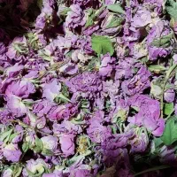 گل محمدی خشک شده خوش عطر