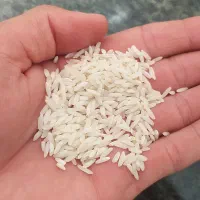 برنج درود درجه یک به شرط پخت|خوردنی و آشامیدنی|پرند, فاز ۲|دیوار