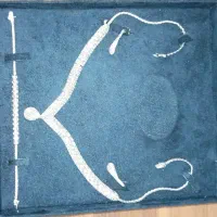 سرویس جواهر فقط 2 درصد با قیمت تابلو|جواهرات|کرج, شهرک احمدیه|دیوار