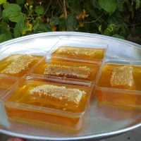 عسل|خوردنی و آشامیدنی|اهواز, شهرک دانشگاه|دیوار