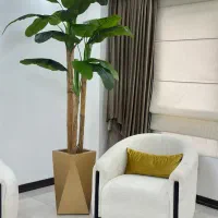 درختچه مصنوعی موز ژاکوبی|گل مصنوعی|آمل, |دیوار