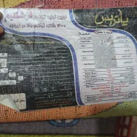 فرش|فرش|یاسوج, |دیوار