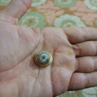 سنک سلیمانی