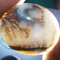 سنگ و نگین های انگشتر  و پلاک گردنی|جواهرات|شیراز, زرهی|دیوار