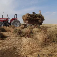 جاروی فراشی عمده|خدمات نظافت|حبیب آباد, |دیوار