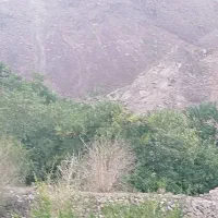 زمین فروشی تقاب