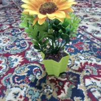 گل درختچه|گل مصنوعی|خرمشهر, |دیوار