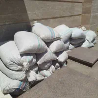 کود پوسیده گاوی