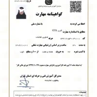 مدرک فنی حرفه ای / دیپلم کارشناسی لیسانس/سرتیفیکیت