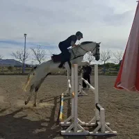 آموزش سوارکاری زیر نظر  مربیان مجرب فدراسیون