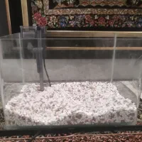 آکواریوم با پمپ|ماهی|قم, پردیسان|دیوار