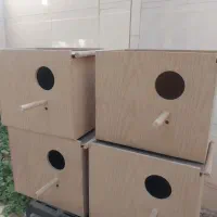 ۴ عدد لانه مناسب برای طوطیسانان