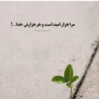 خدمات آنلاین امنیت شغلی