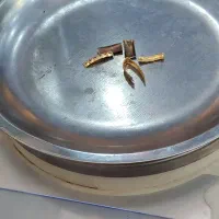 طلا قیمت تابلو