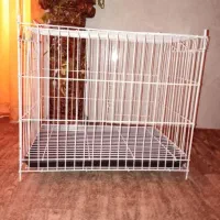 قفس بزرگ پرنده نو|لوازم جانبی حیوانات|بوشهر, |دیوار