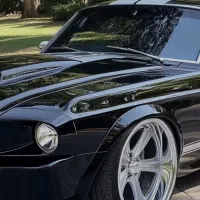 کارشناس  خودرو بدنه و موتور در محل