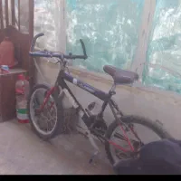 دوچرخه و سه چرخه‌ی بزرگسالان