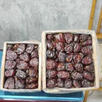 خرما و رطب نخل طلایی|عمده‌فروشی|اصفهان, گلزار|دیوار