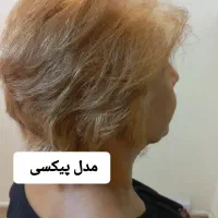 انجام کلیه خدمات درسالن زیبایی ۵۰درصد تخفیف.|خدمات آرایشگری و زیبایی|صدرا-فارس, فاز ۱|دیوار