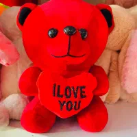 خرس LOVE  قلب به دست