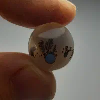 عقیق شجر قائن باباقوری دار|جواهرات|قم, شهر قائم|دیوار