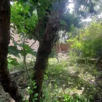 فروش ویلای ۲۰۶ متری تک برگ سند|فروش خانه و ویلا|رشت, پسیخان|دیوار