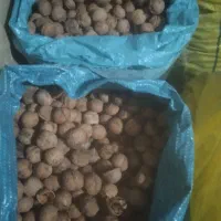 گردو تازه روستای گروه کیلو ۴۰۰هزار|حراج|چناران, |دیوار