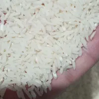 برنج الک شده و بدون الک درجه یک