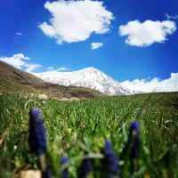 پار‌تنر طبیعت گردی