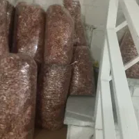 سنجد تازه|خوردنی و آشامیدنی|تهران, بوستان چیتگر|دیوار