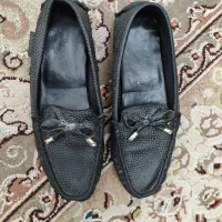 کالج در حد نو|کیف، کفش، کمربند|گنبد کاووس, |دیوار