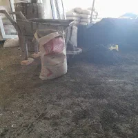 یک کارگر کاشیکاری  نیمه ماهر