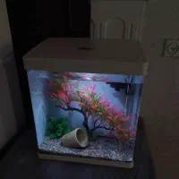 اکواریوم شرکتی دلسا