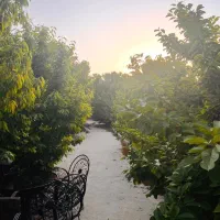 باغ