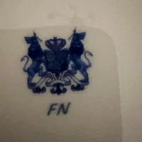 چینی ۲۷ پارچه آلمانی FN تابحال استفاده نشده|ظروف سرو و پذیرایی|تهران, فرمانیه|دیوار