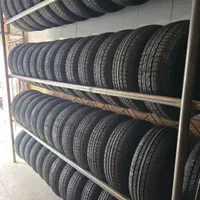 لاستیک دولتی