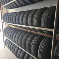 لاستیک دولتی