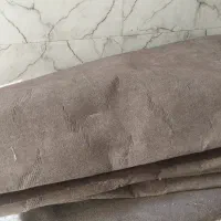 موکت نو