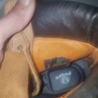 تیم برلند|کیف، کفش، کمربند|مشهد, ثامن|دیوار