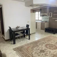 همخونه فقط خانم