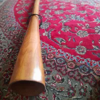 دیجیردو