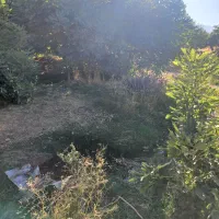 باغ و منزل مسکونی|فروش خانه و ویلا|معمولان, |دیوار