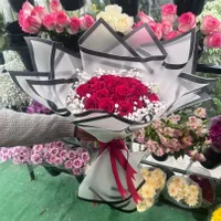 پخش عمده گل رز هلندی|گل و گیاه طبیعی|مشهد, هنرستان|دیوار