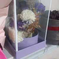 گل جعبه ی نو