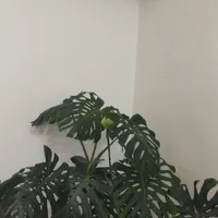 فروش آپارتمان ۱۰۰ متری ۲ خوابه