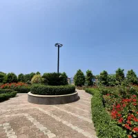 زمین پلاک اول دریا/مشارکت/۱۰۰۰متر