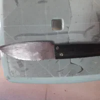 چاقو دسته شاخ|ظروف پخت‌وپز|سنندج, |دیوار