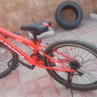 دوچرخه دنده ای المپیا. پــلـاس. سایز 24