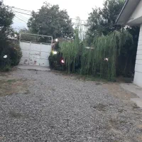 ویلا جنگلی اجاره دربستی|اجارهٔ کوتاه‌مدت ویلا و باغ|لشت نشا, |دیوار